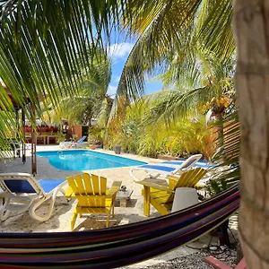 *** Guest house Oasis Guesthouse, Boutique Style Bonaire, Saint Eustatius and Saba